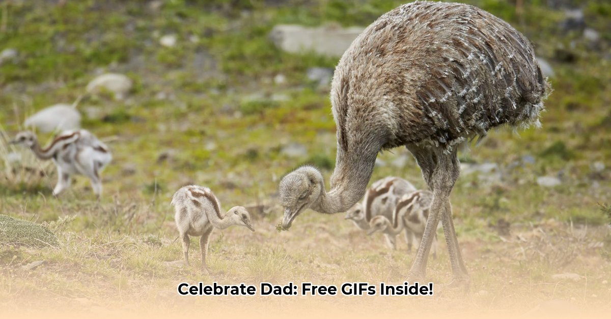 happy-father-s-day-gif